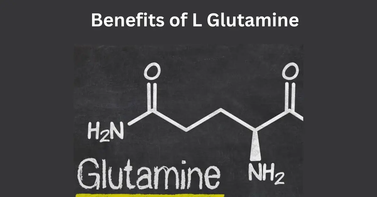 Benefits of L Glutamine 